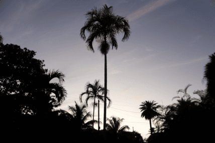 What to Expect in an Interview with Minnesota Canvas